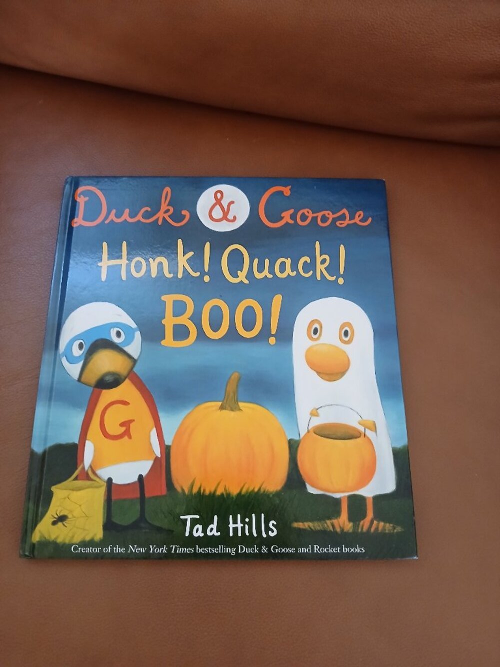 Duck & Goose Honk! Quack! Boo!  by Tad Hills HC